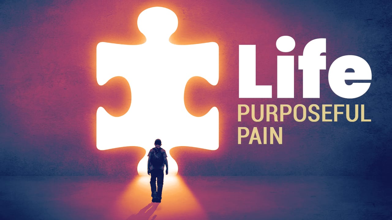 Life | Purposeful Pain
