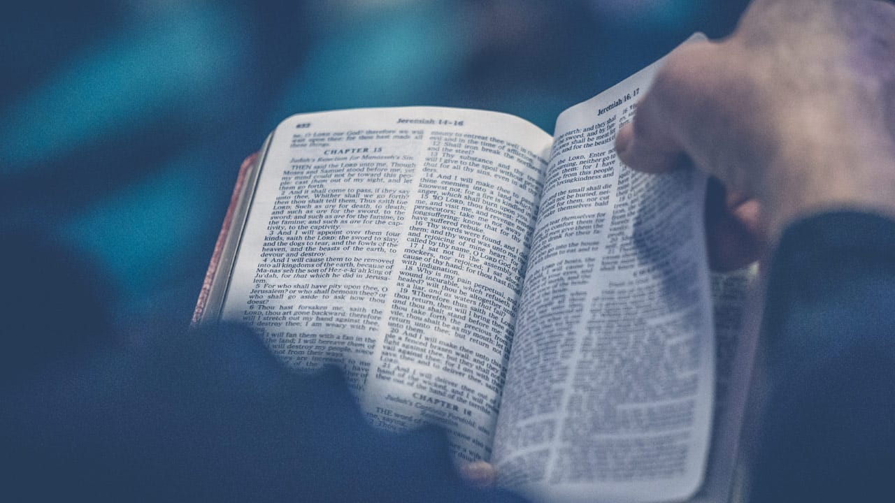 Next Steps | Knowing God and Discovering Your Purpose