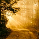 Life Lessons That Last: Walking in Wisdom from Proverbs 13 explores godly wisdom, legacy, contentment in Christ, and righteous living for every believer.