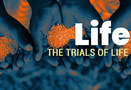 Life | The Trials of Life