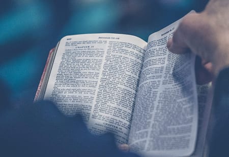 Next Steps | Knowing God and Discovering Your Purpose