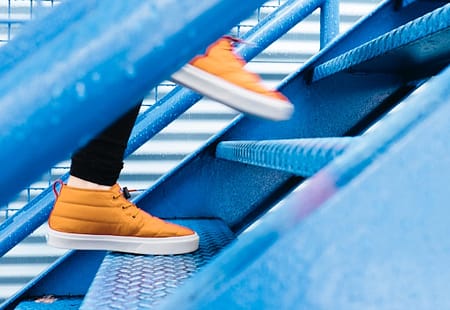 Next Steps | This Is Who We Are