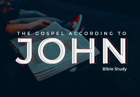 Bible Study – John Chapter 1