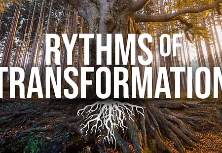 Rhythms of Transformation