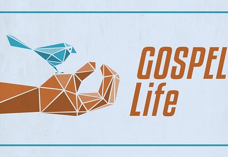 Gospel-Centered Man